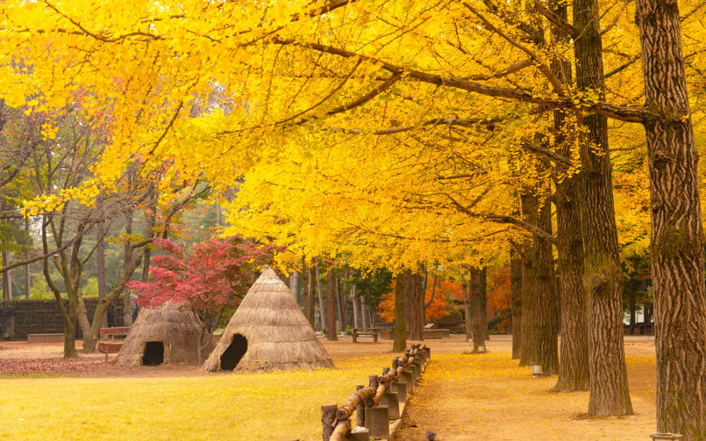 Đảo Nami - Gangwon-do