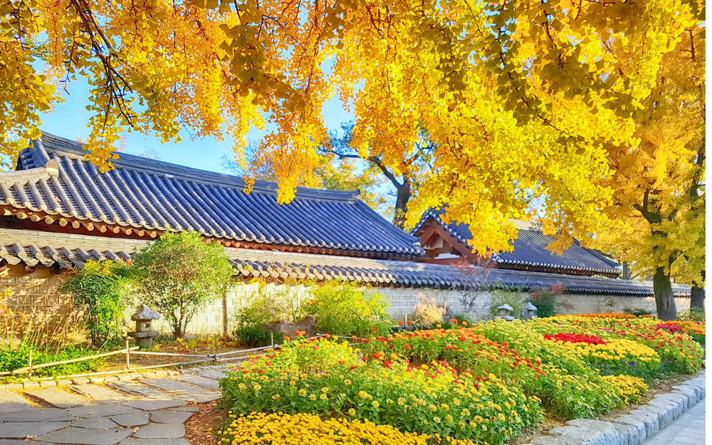 Làng Jeonju Hanok - Jeonju