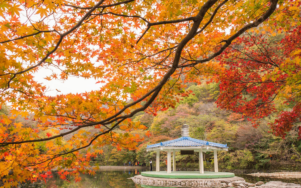 Vườn Quốc Gia Naejangsan - Jeollabuk-do