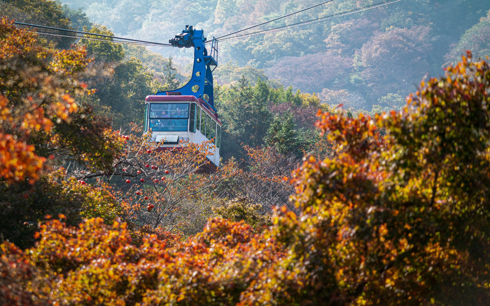 Lưu Ý Khi Đi Du Lịch Hàn Quốc Tháng 11