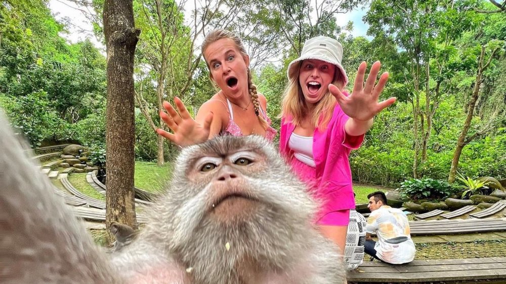 1, 2, 3, say cheese! Image credits: @kamirnd on Instagram