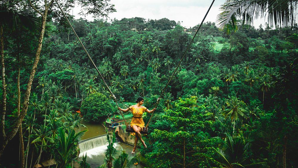 The prettiest swings on earth! Image credits: Christopher Alvarenga on Unsplash