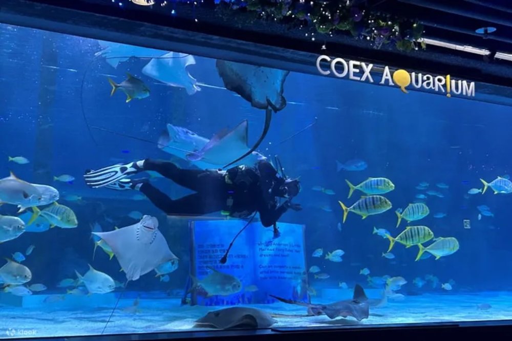 dia-diem-du-lich-seoul