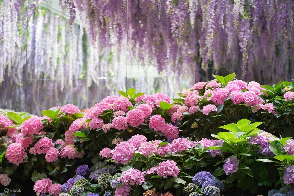 dia-diem-du-lich-seoul