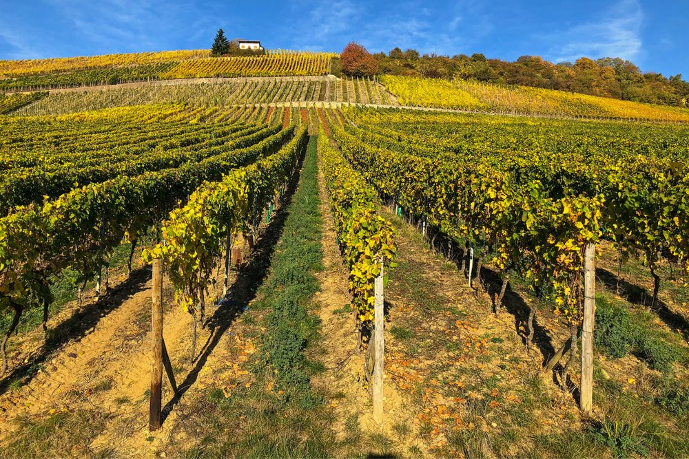 Thung Lũng Moselle Luxembourg