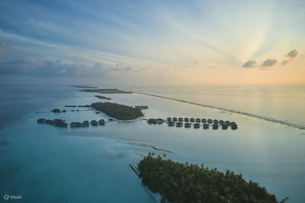 Klook Birthday Money Cant Buy Experiences - Starlit swim with Whale Sharks on a Private Maldives Island