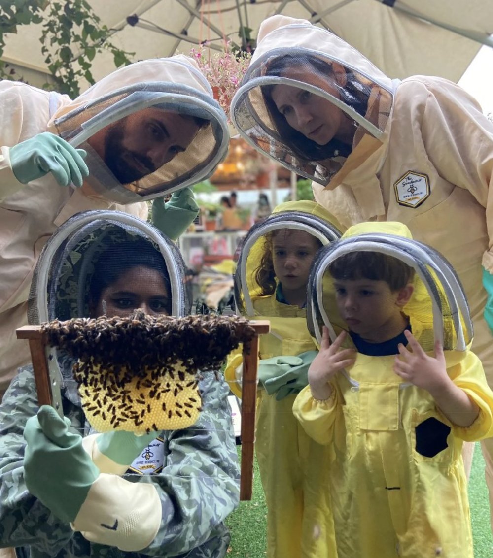 honey ice cream making workshop