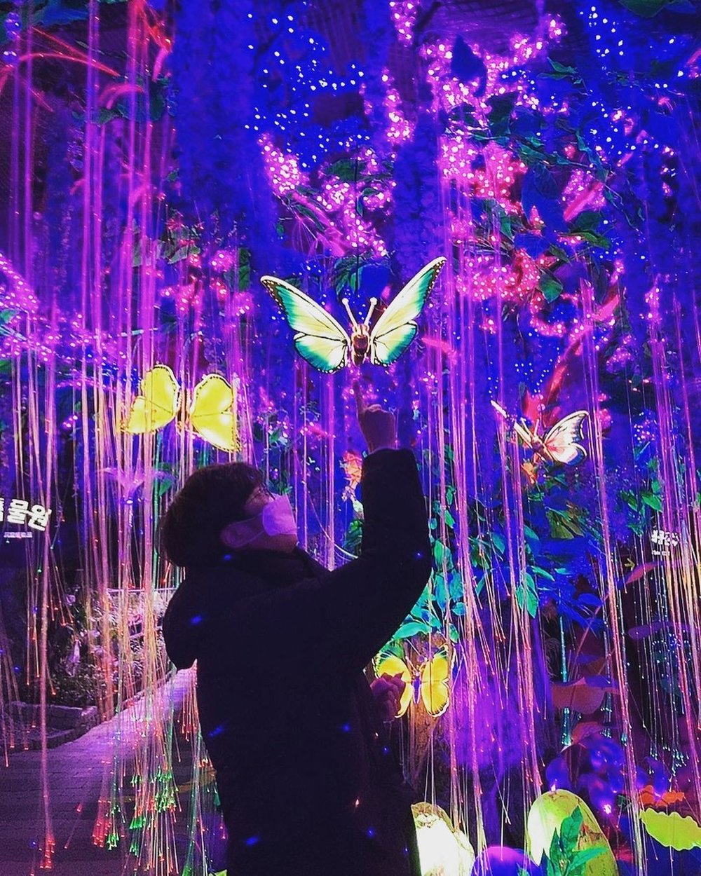 韓国  Gwangmyeong Cave 光明洞窟（クァンミョントングル）