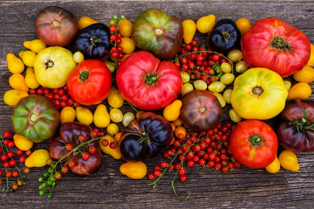 Các Loại Nông Sản