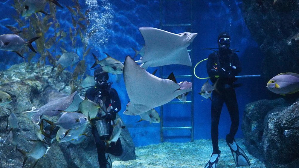 Thuỷ Cung SEA LIFE Bangkok Ocean World