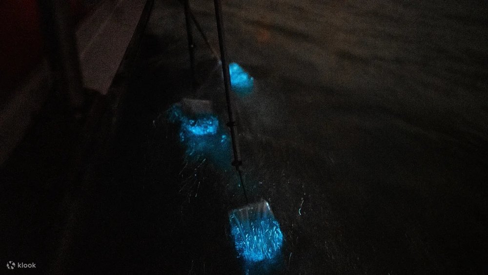 Blue Tears Experience Selangor 