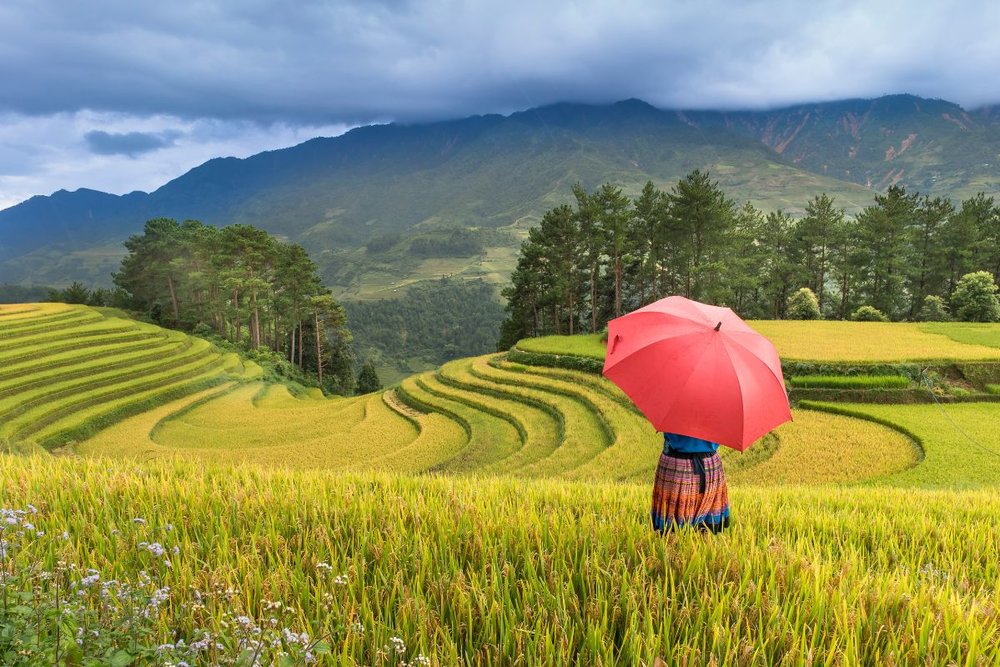 Check-in Những Địa Điểm Du Lịch "Cực Nghệ" Ở Fansipan