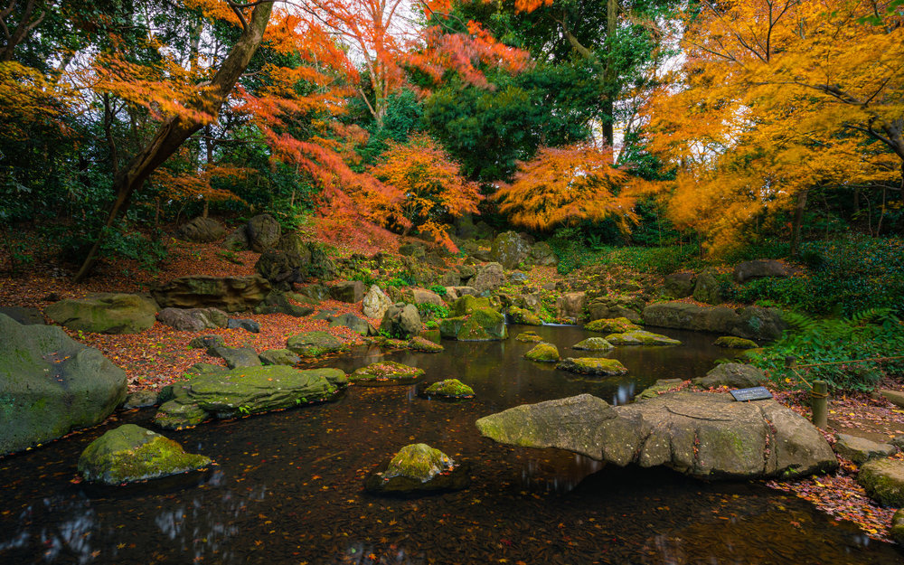 du-lich-nhat-ban-thang-11