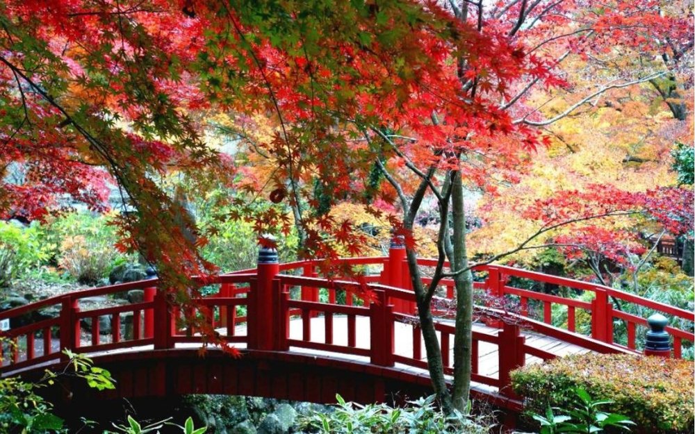 du-lich-nhat-ban-thang-11