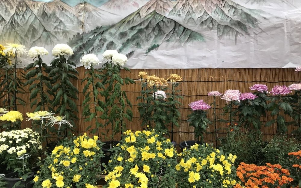 du-lich-nhat-ban-thang-11