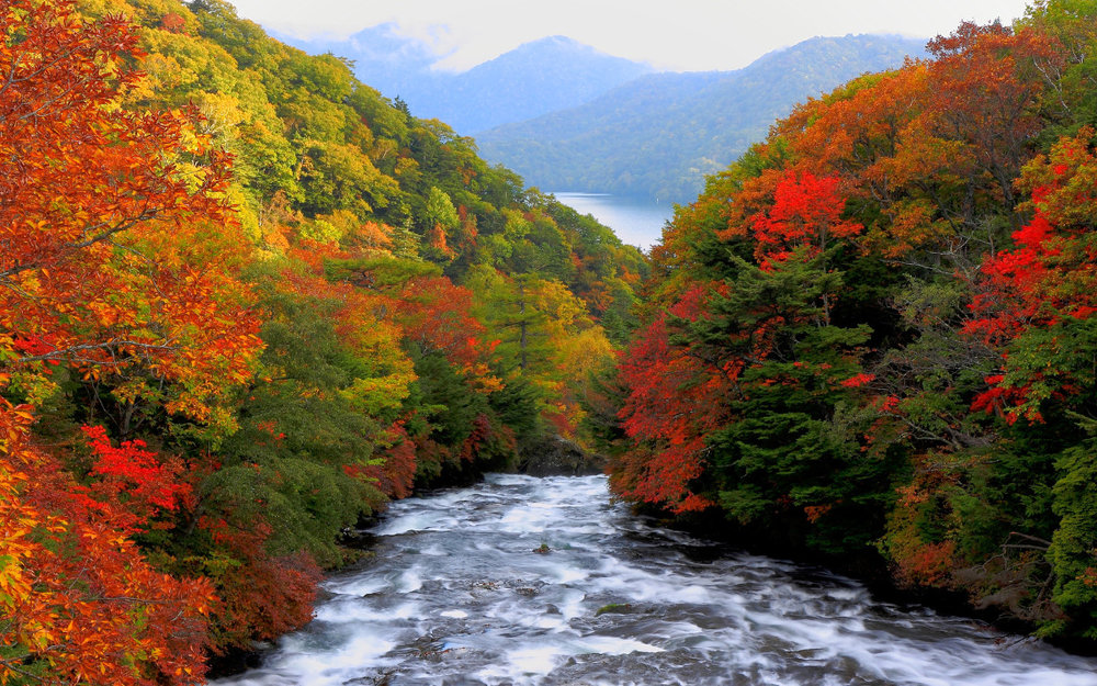 du-lich-nhat-ban-thang-11