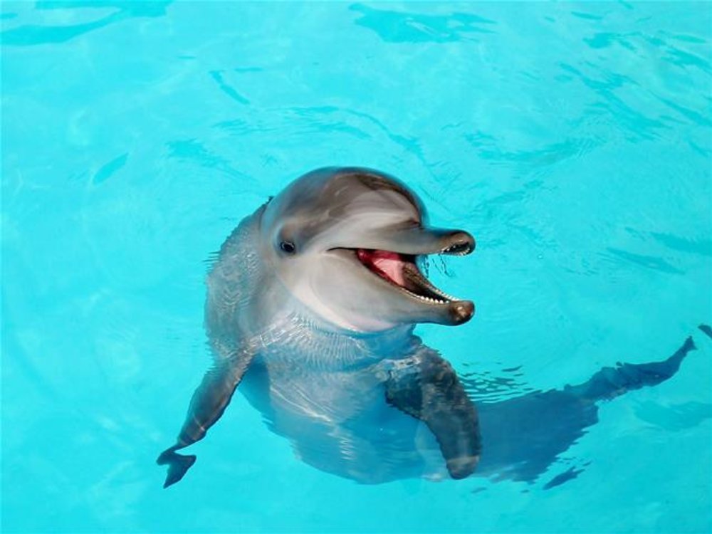 野柳海洋世界, 台北自駕遊, 台北租車