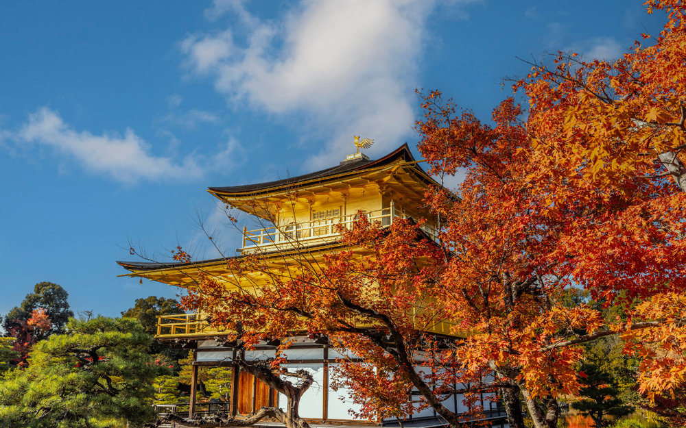 Đền Kinkakuji - Khám Phá Chùa Vàng Ở Kyoto, Nhật Bản