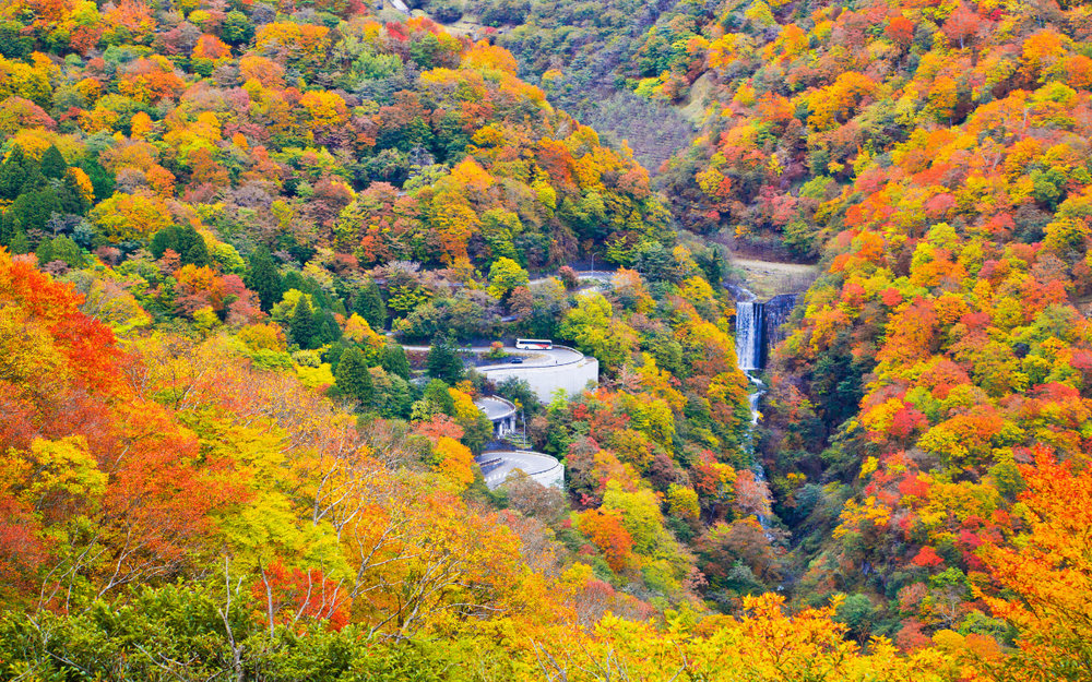 Cung Đường Irohazaka Ở Nikko, Nhật Bản