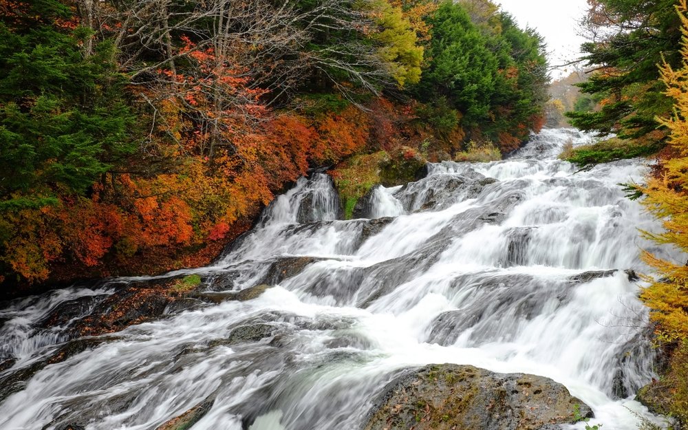 Thời Tiết Tháng 10 Ở Nhật Bản Như Thế Nào?