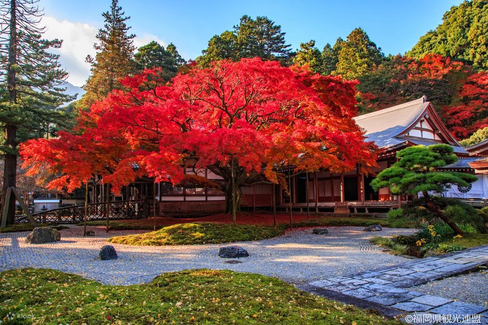 japan autumn foliage 2024