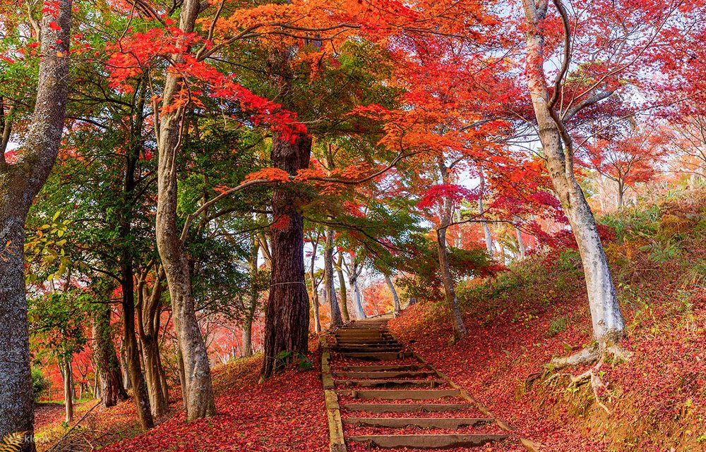 atami plum garden autumn