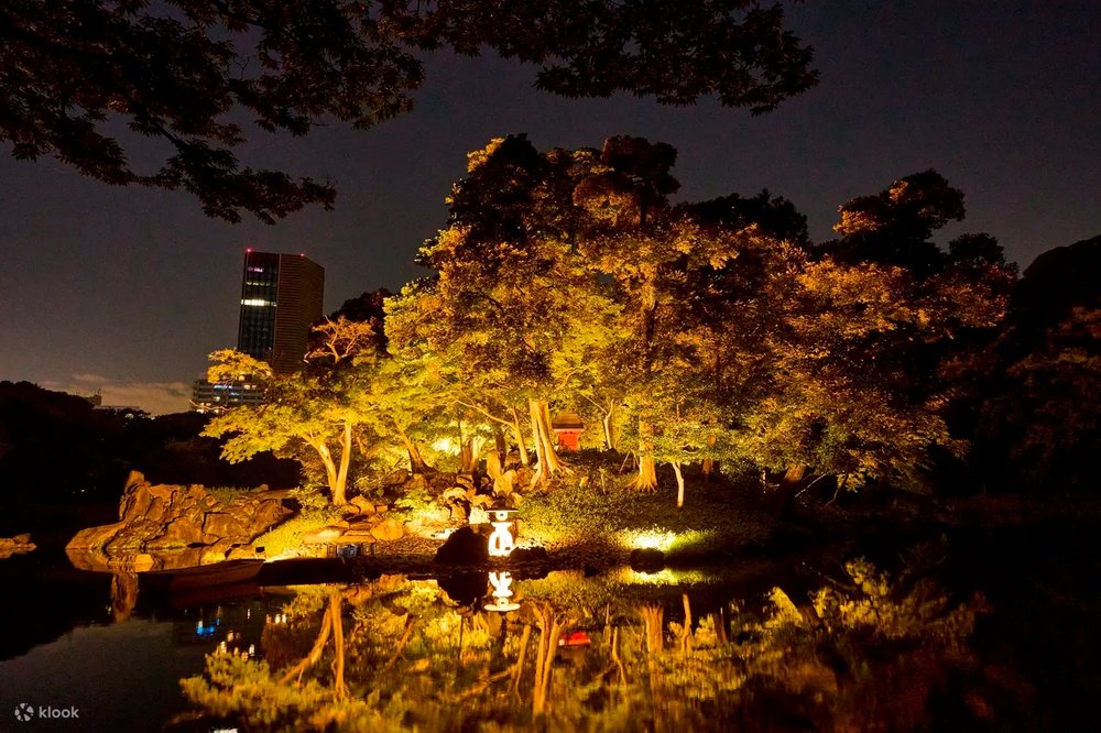 Koishikawa Korakuen Gardens night illumination autumn