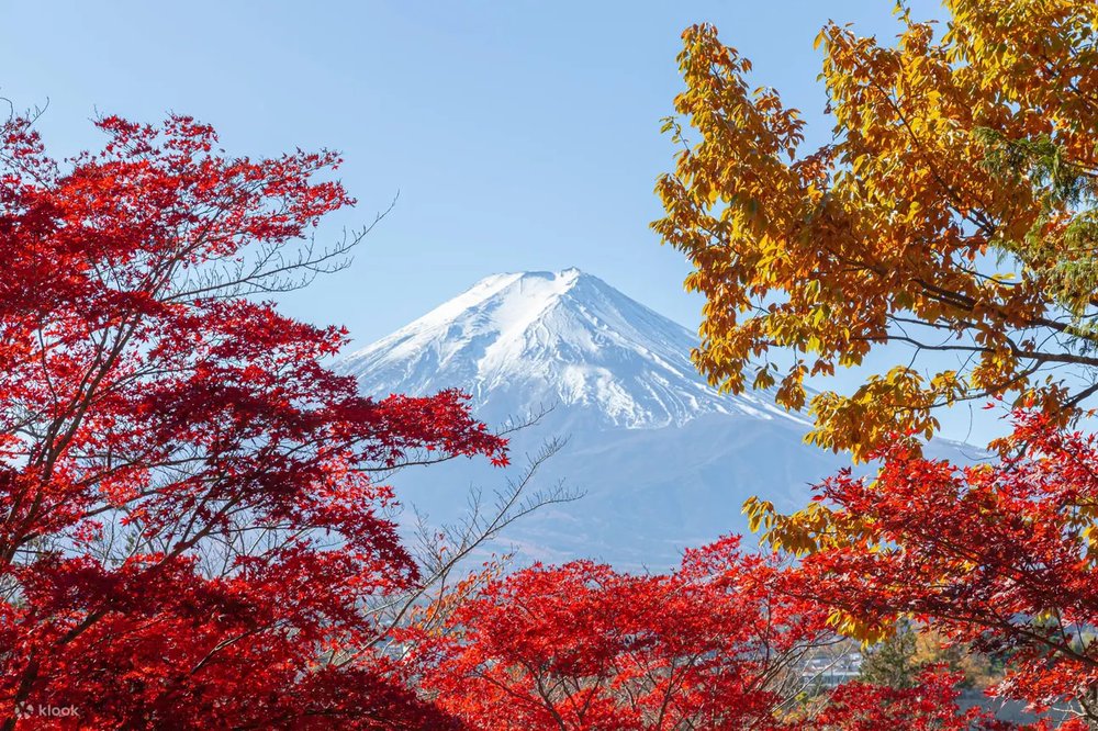 mt fuji autumn