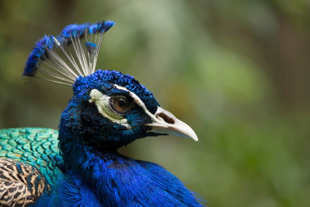 Công Viên Sunway Lagoon