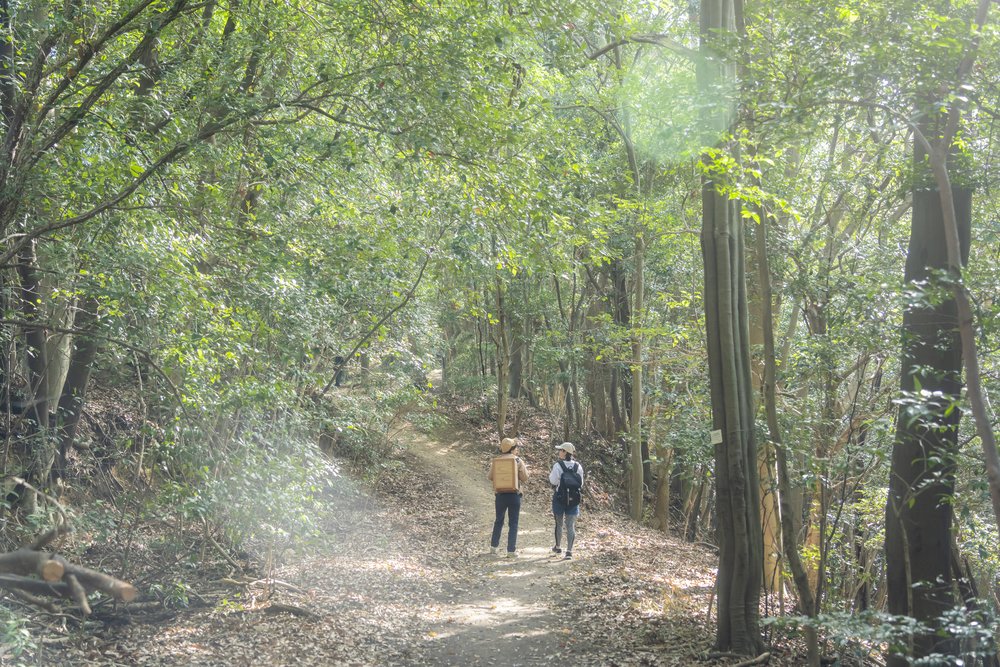 two people enjoying a hike in hiroshima