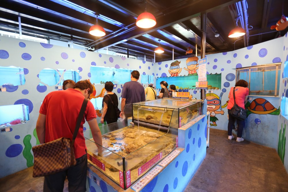 Bảo Tàng Seven Star Bonito