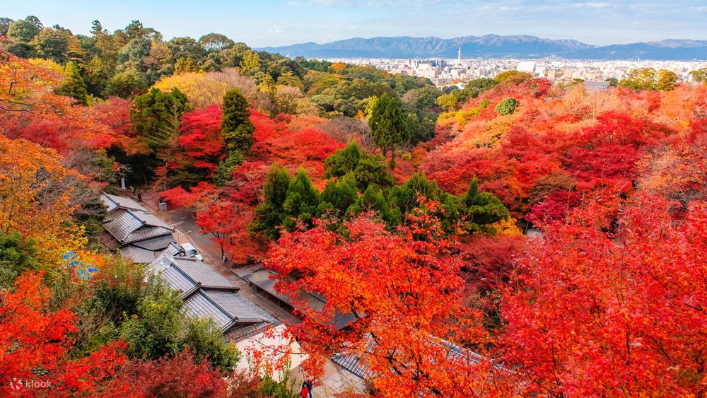 Tofukuji Temple