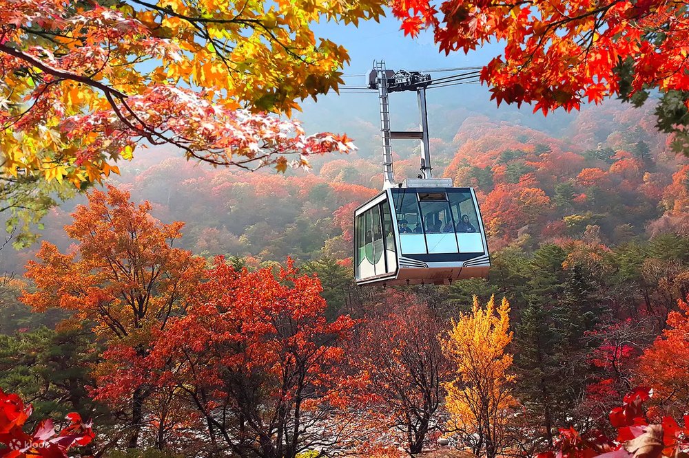 where to see autumn leaves in korea