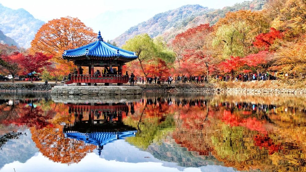 where to see autumn leaves in korea
