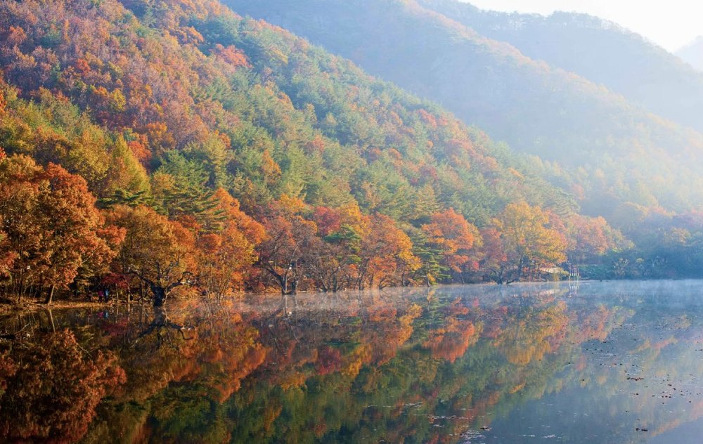 Where to see autumn leaves in korea