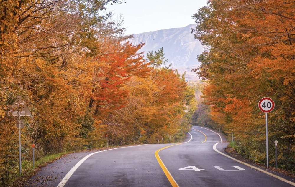 where to see autumn leaves in korea
