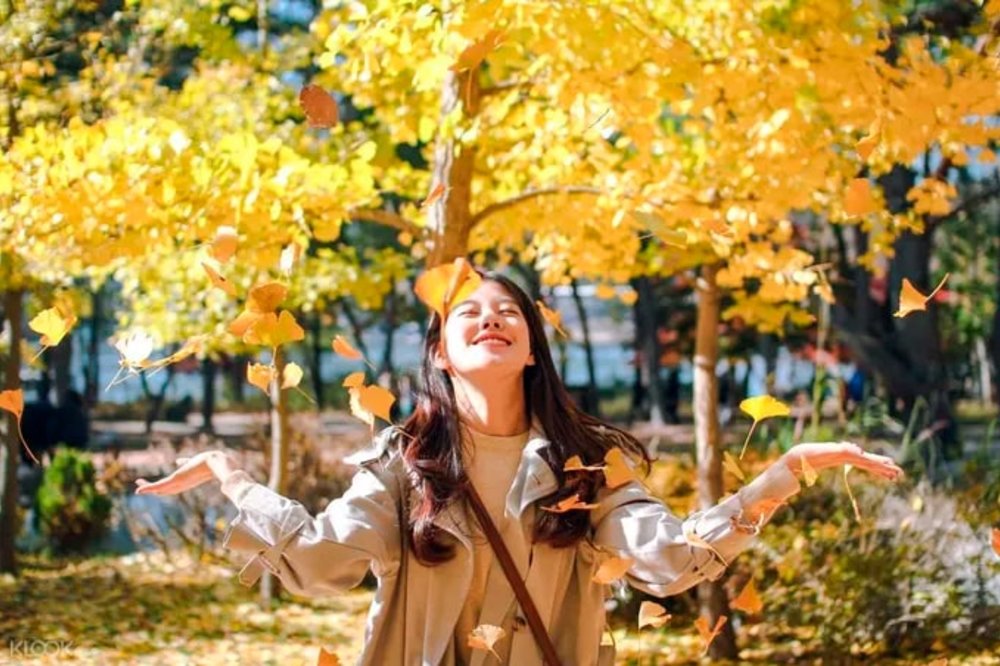 where to see autumn leaves in korea