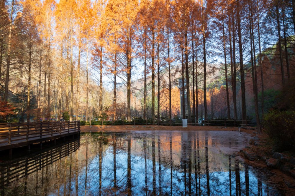jangtaesan mountain in autumn