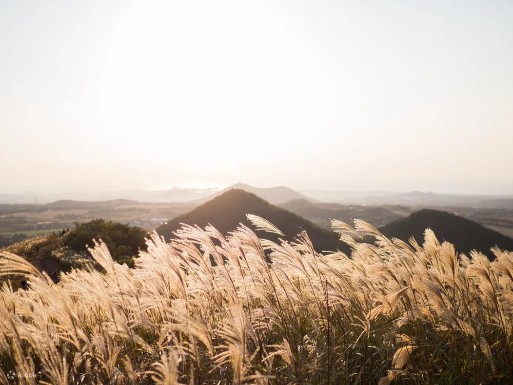 places to see autumn leaves in korea
