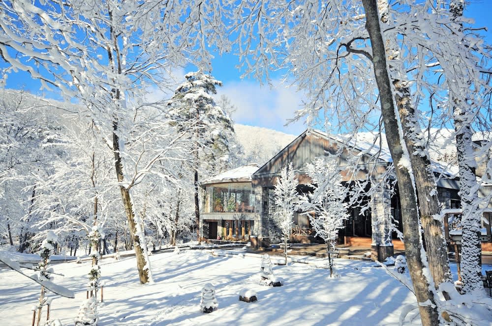 Hotel in the middle of snow and trees