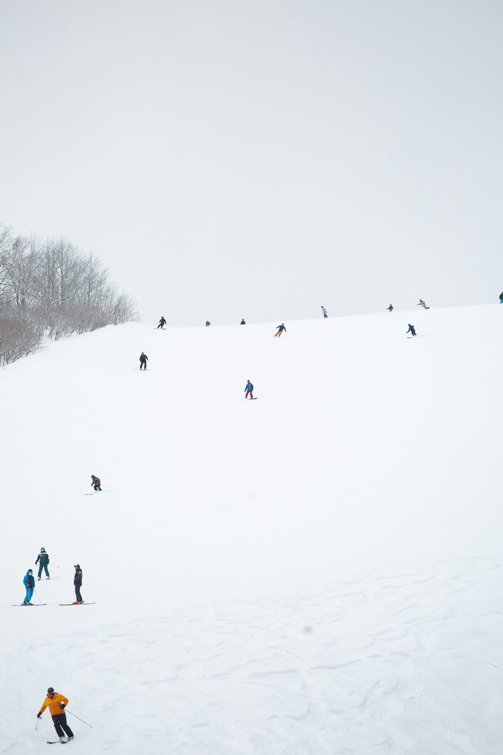 people skiing from mountain