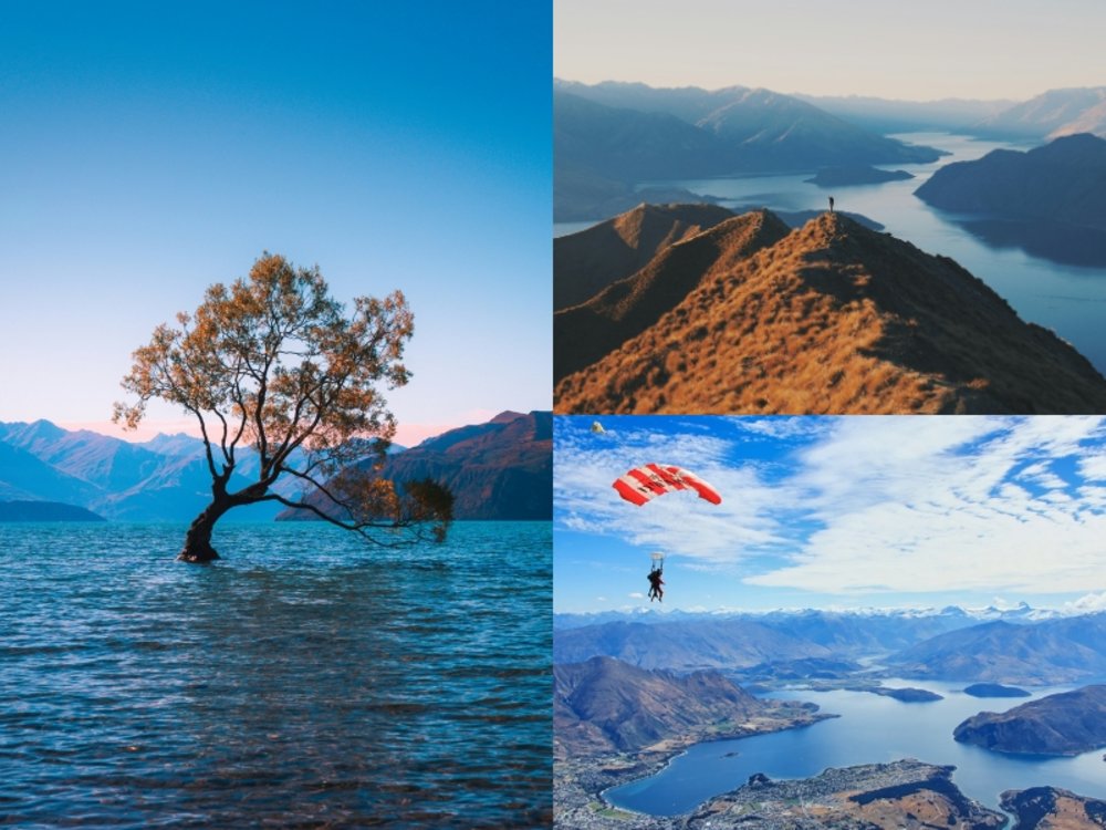 New Zealand South Island Road Trip Itinerary - Things to do in Wanaka, Wanaka Tree, Hiking Roys Peak and Skydiving