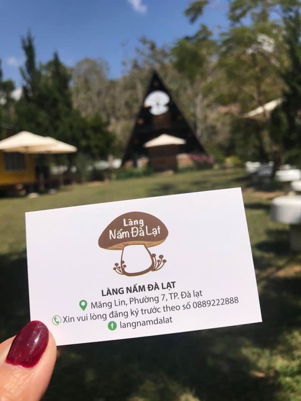 Làng Nấm Đà Lạt Ở Đâu?