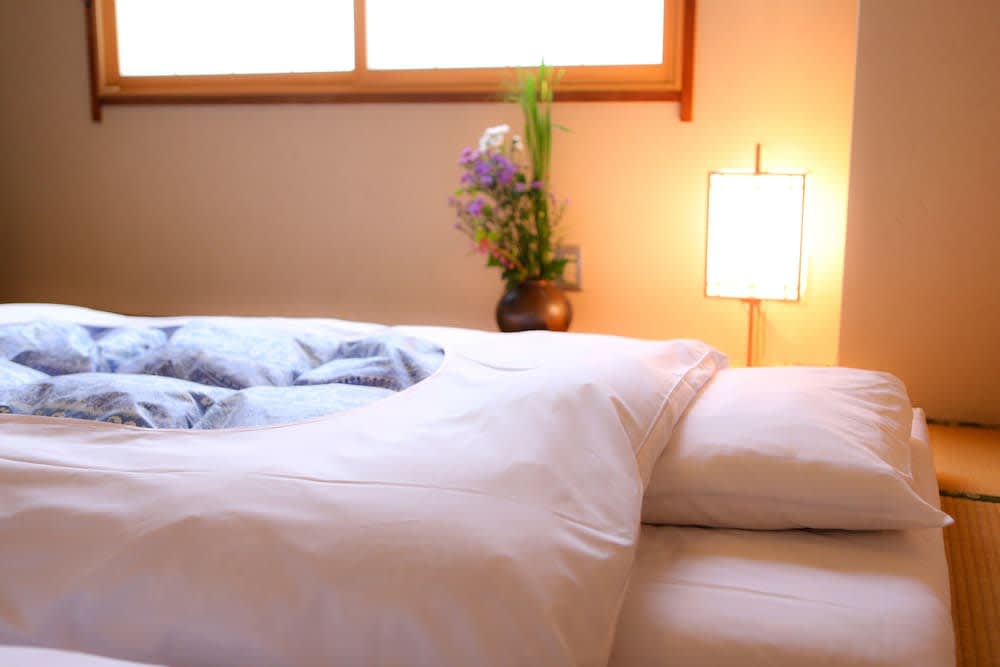 where to stay near tokyo train stations Ryokan Kamogawa