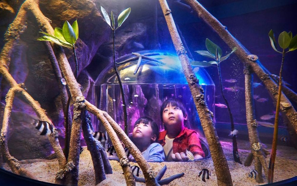 du-lich-bangkok-mua-mua