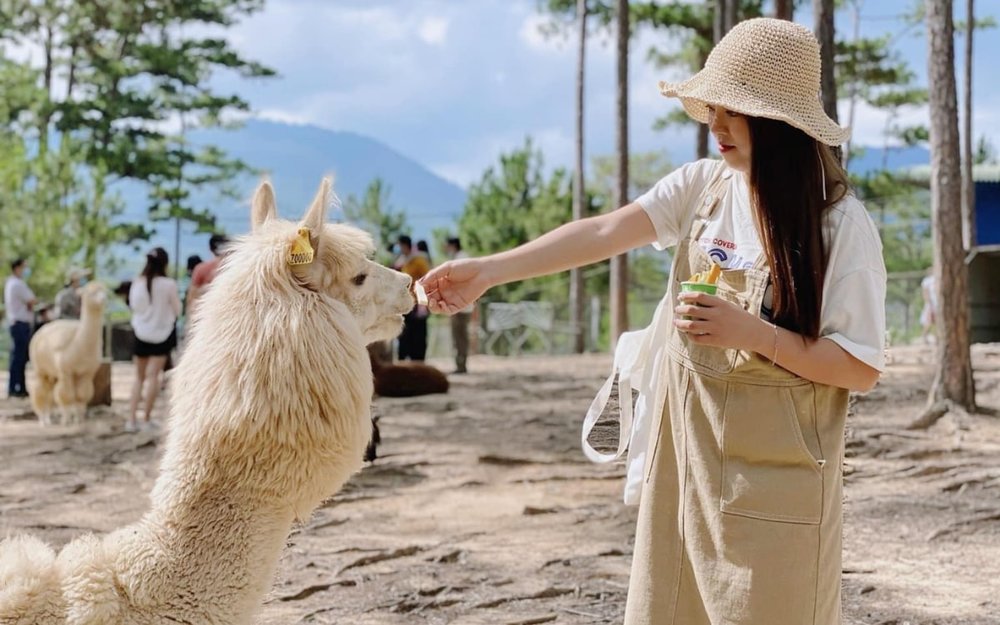 Vườn Thú ZooDoo Đà Lạt - Sở Thú Thân Thiện Cho các Bé Làm Quen