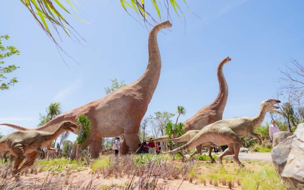 Công Viên Khủng Long Dino Park - Thế Giới Khủng Long Hấp Dẫn
