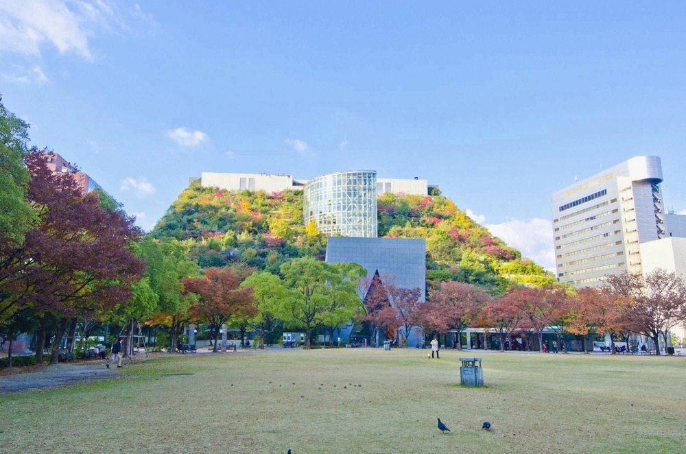 東橫INN博多站南|周邊交通、景點