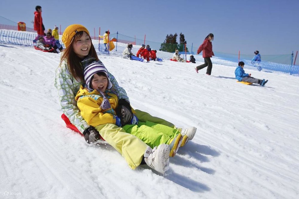 Tour Ngày Tham Quan Khu Nghỉ Dưỡng Trượt Tuyết Hakodateyama Từ Osaka
