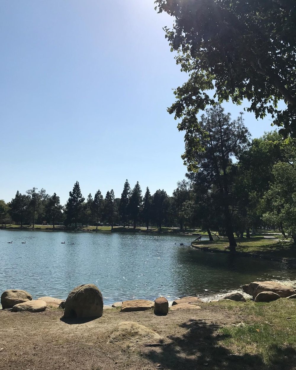 US アナハイム 観光 ヨルバ リージョナルパーク（Yorba Regional Park）